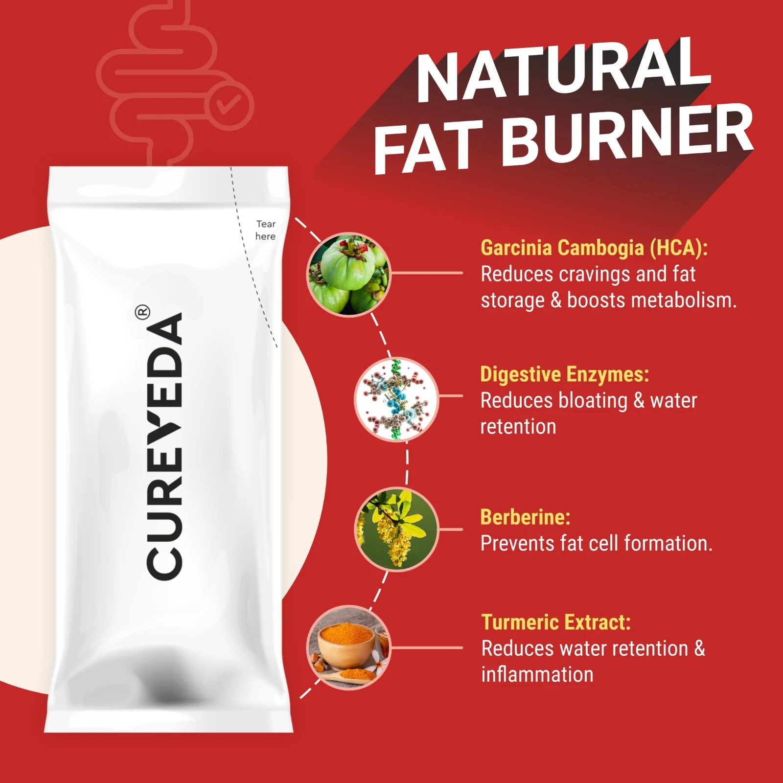 Weight-gut - with Digestive enzymes - Image 3