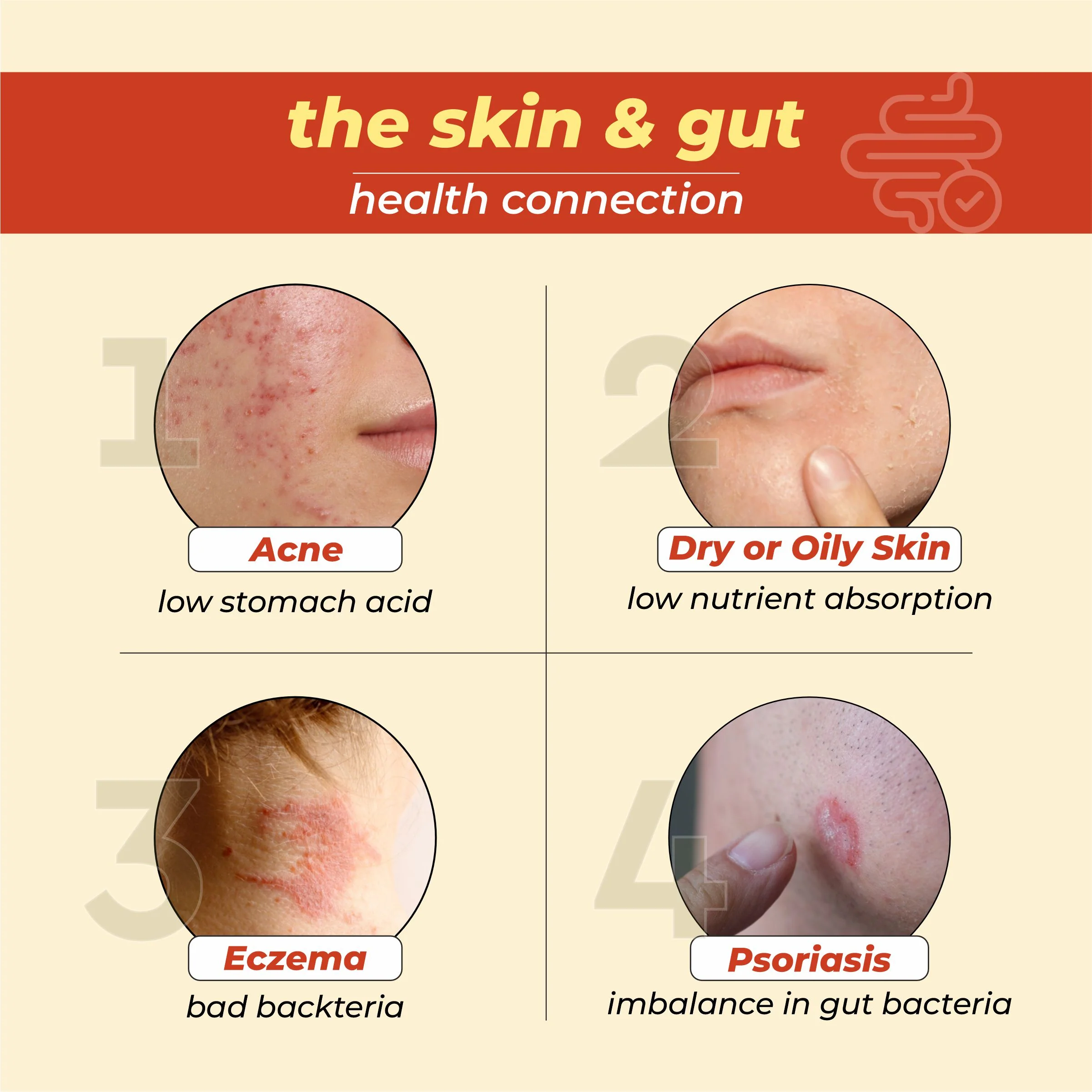Cureveda Skin-gut with Pre-probiotics - Image 8
